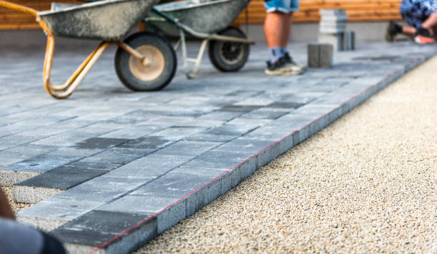 Best Residential Driveway Paver Services  in Lake Vla, IL